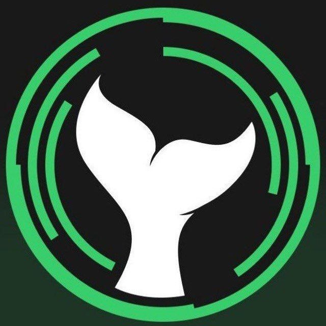 Crypto Brainy channel logo